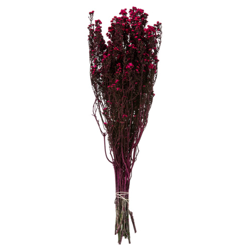 12-22 Raspberry Phylica Bundle 5oz