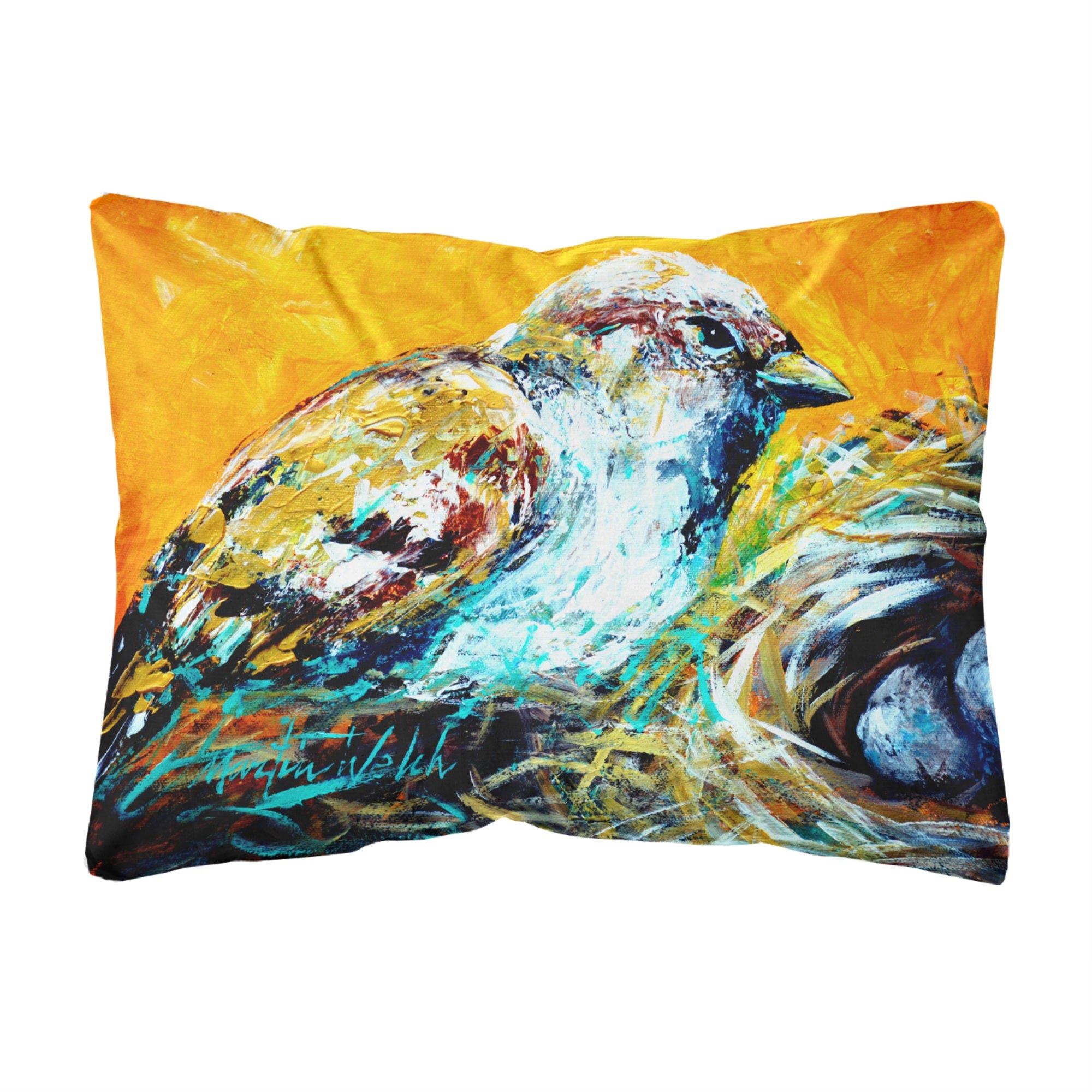 Carolines Treasures MW1158PW1216 Look at the Birdie Canvas Fabric Decorative Pillow, Large, Multicolor