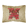 Carolines Treasures Hex Marks The Spot Halloween Canvas Fabric Decorative Pillow, Large, Multicolor