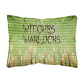 Carolines Treasures Witches & Warlocks Halloween Canvas Fabric Decorative Pillow, Large, Multicolor