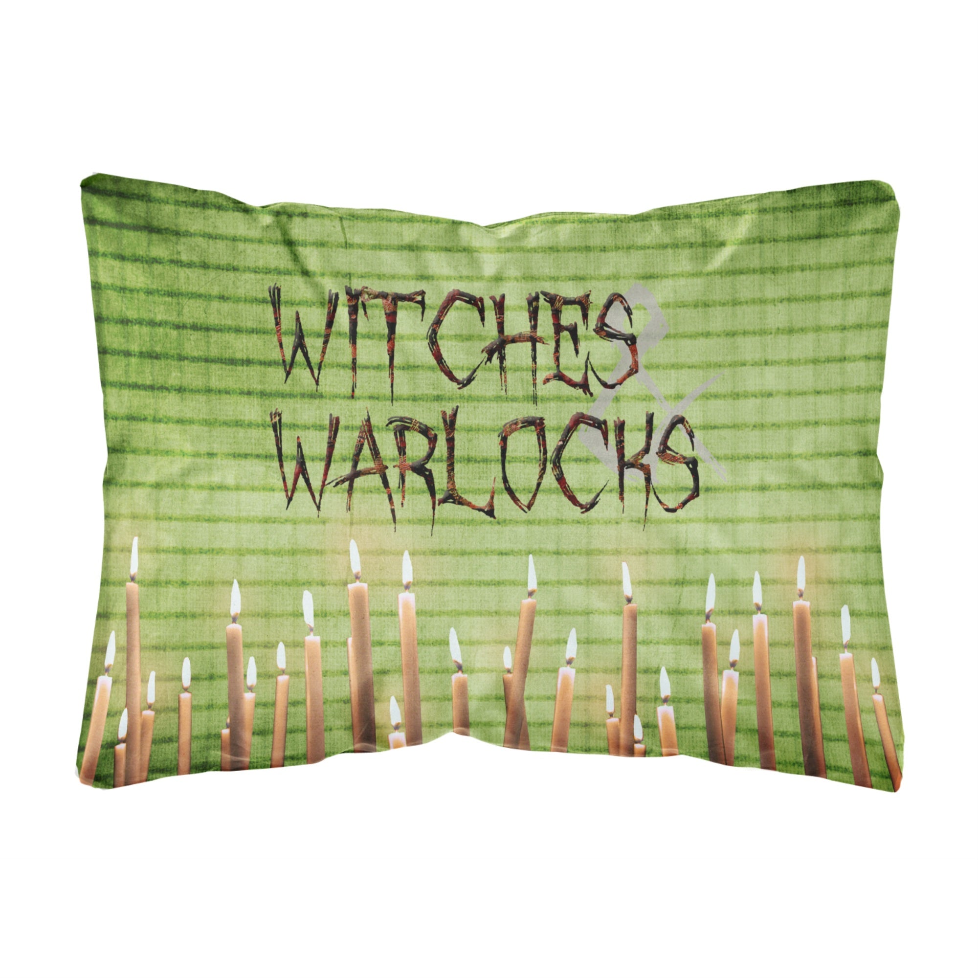 Carolines Treasures Witches & Warlocks Halloween Canvas Fabric Decorative Pillow, Large, Multicolor