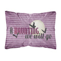 Carolines Treasures A Haunting We Will Go Halloween Canvas Fabric Decorative Pillow, Large, Multicolor