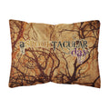 Carolines Treasures A Spook Tacular Day Halloween Canvas Fabric Decorative Pillow, Large, Multicolor