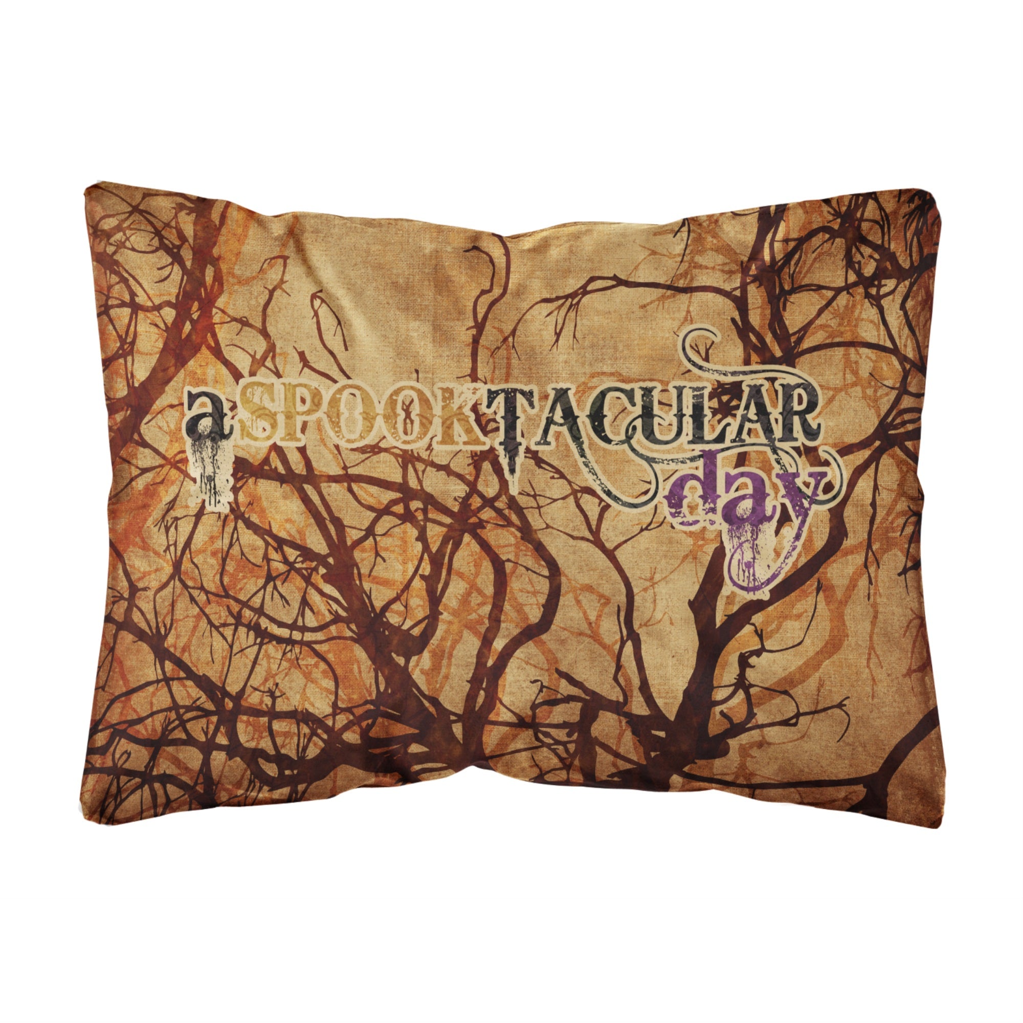 Carolines Treasures A Spook Tacular Day Halloween Canvas Fabric Decorative Pillow, Large, Multicolor