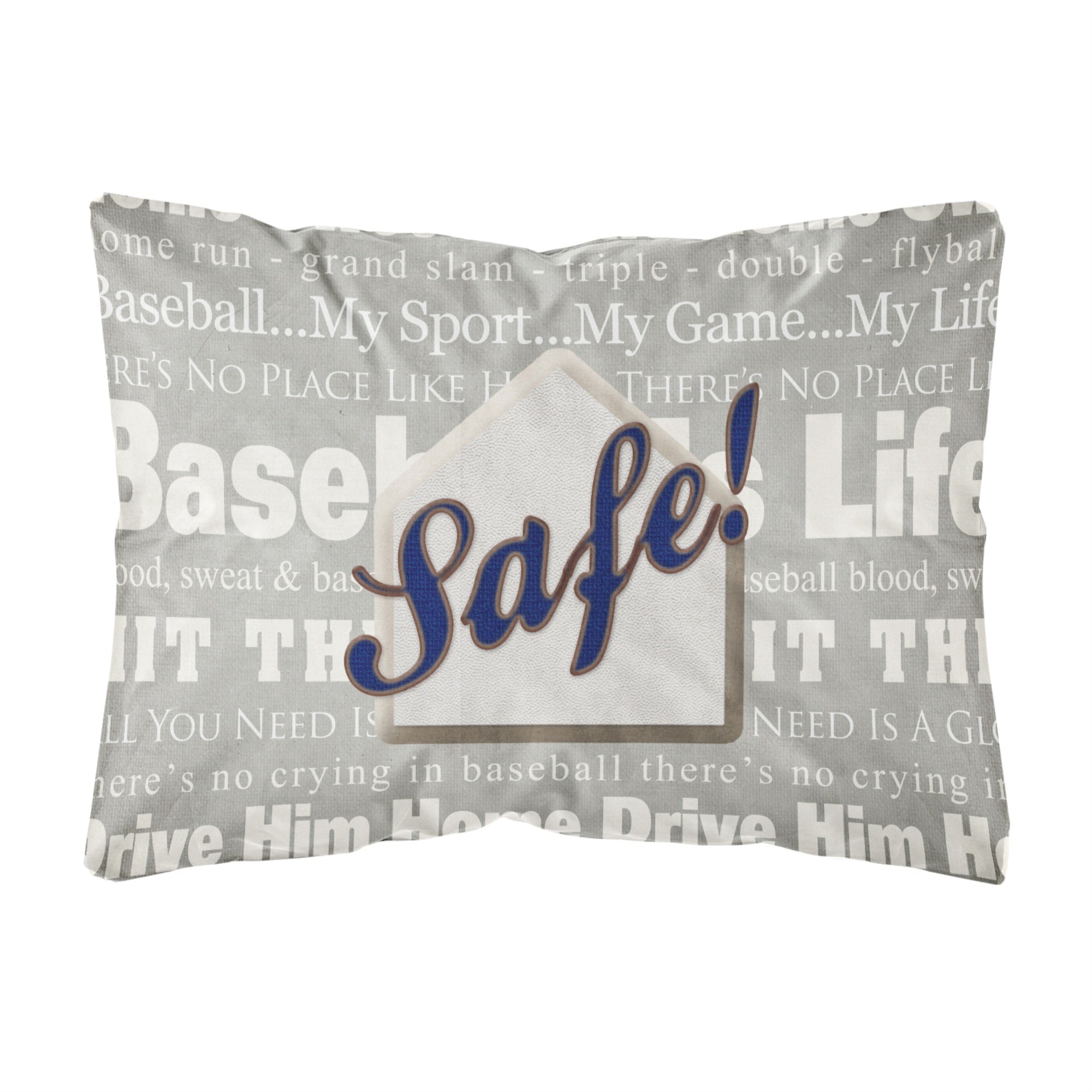 Carolines Treasures SB3079PW1216 Safe at Home Canvas Fabric Decorative Pillow, Large, Multicolor
