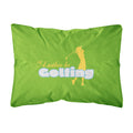 Carolines Treasures ID Rather Be Golfing Woman On Green Canvas Fabric Decorative Pillow, Large, Multicolor