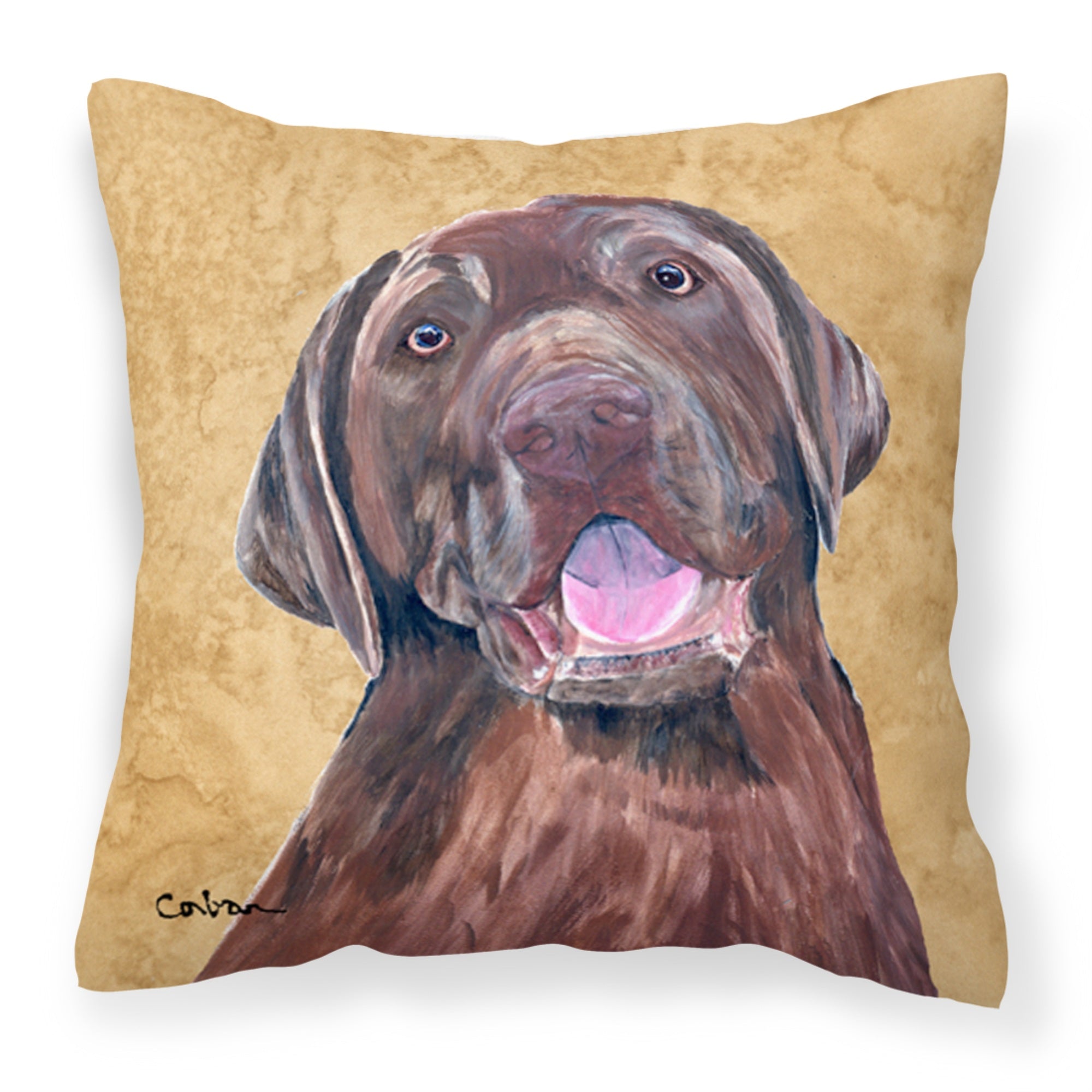 Carolines Treasures SC9127PW1414 Labrador Decorative Canvas Fabric Pillow, Large, Multicolor
