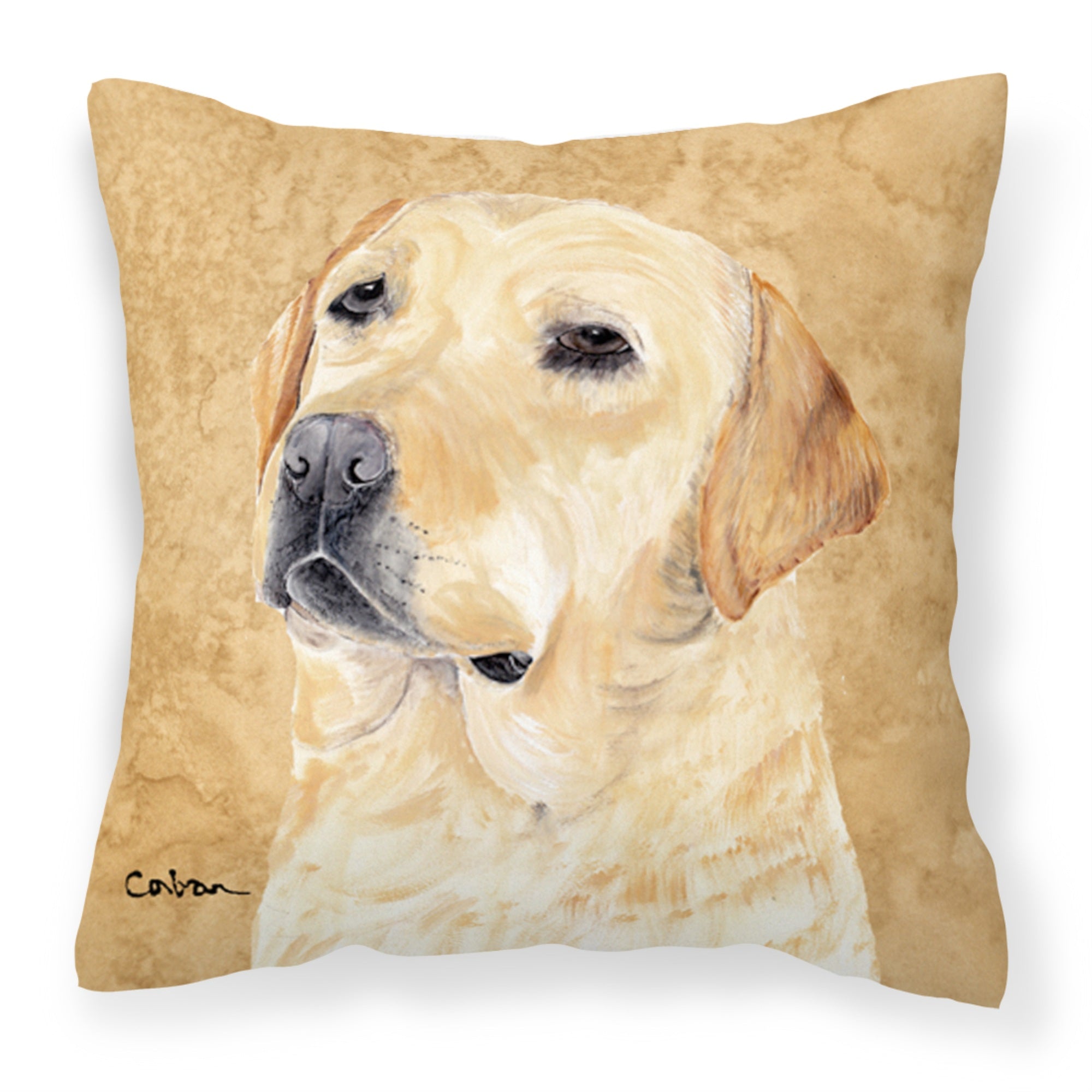 Carolines Treasures SC9133PW1414 Labrador Decorative Canvas Fabric Pillow, Large, Multicolor