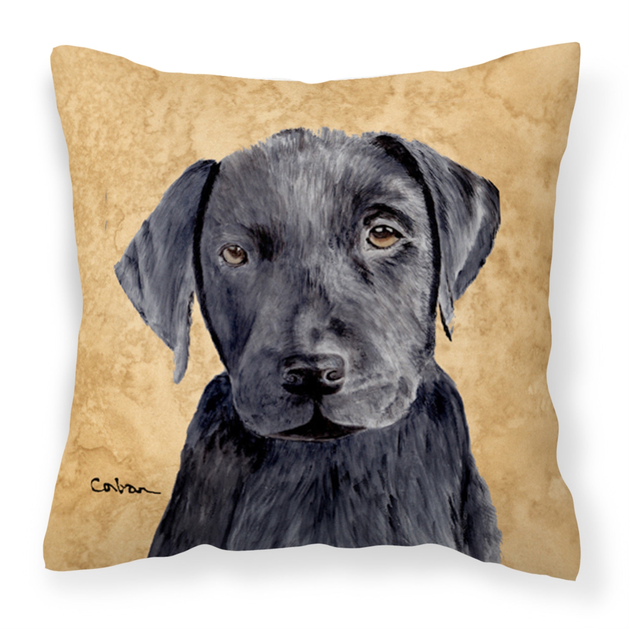 Carolines Treasures SC9136PW1414 Labrador Decorative Canvas Fabric Pillow, Large, Multicolor