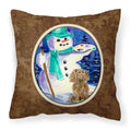 Carolines Treasures SS1002PW1414 Boykin Spaniel Decorative Canvas Fabric Pillow, Large, Multicolor