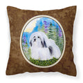 Carolines Treasures SS1034PW1414 Havanese Decorative Canvas Fabric Pillow, Large, Multicolor