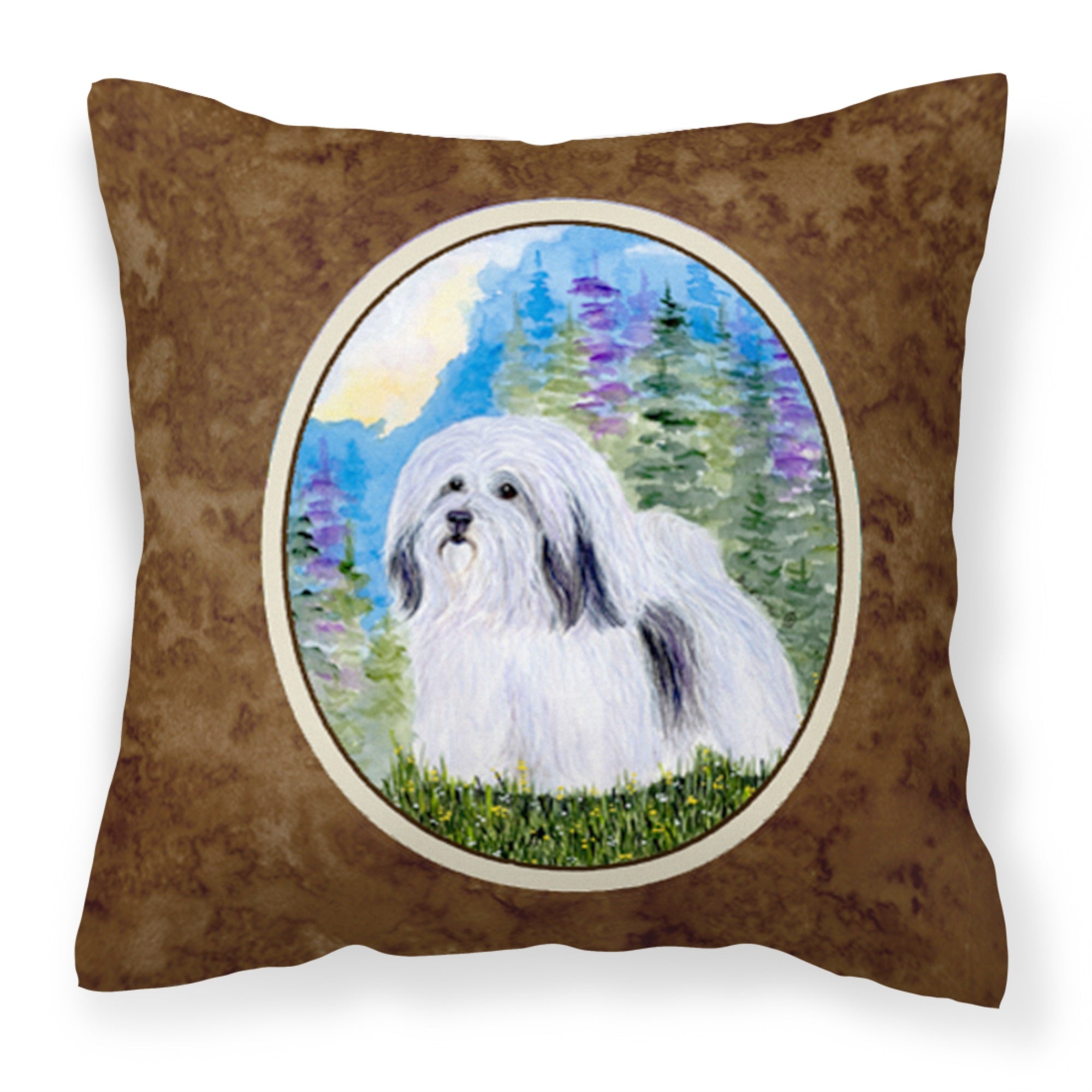 Carolines Treasures SS1034PW1414 Havanese Decorative Canvas Fabric Pillow, Large, Multicolor