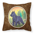 Carolines Treasures SS1051PW1414 Schnauzer Decorative Canvas Fabric Pillow, Large, Multicolor