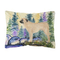 Carolines Treasures SS8012PW1216 Anatolian Shepherd Decorative Canvas Fabric Pillow, Large, Multicolor