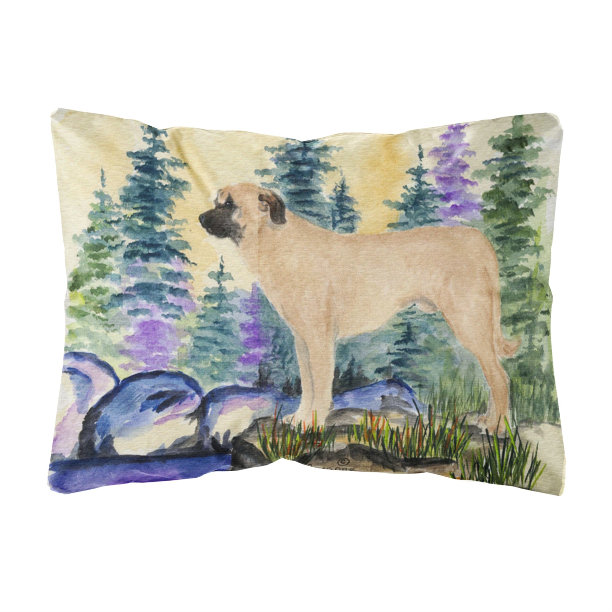 Carolines Treasures SS8012PW1216 Anatolian Shepherd Decorative Canvas Fabric Pillow, Large, Multicolor