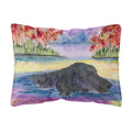 Carolines Treasures SS8043PW1216 Curly Coated Retriever Decorative Canvas Fabric Pillow, Large, Multicolor
