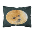 Carolines Treasures SS8051PW1216 Pomeranian Decorative Canvas Fabric Pillow, Large, Multicolor