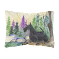 Carolines Treasures SS8101PW1216 Scottish Terrier Decorative Canvas Fabric Pillow, Large, Multicolor