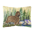 Carolines Treasures SS8131PW1216 Field Spaniel Decorative Canvas Fabric Pillow, Large, Multicolor