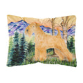 Carolines Treasures SS8168PW1216 Lakeland Terrier Decorative Canvas Fabric Pillow, Large, Multicolor