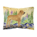 Carolines Treasures SS8195PW1216 Tosa Inu Decorative Canvas Fabric Pillow, Large, Multicolor