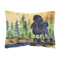 Carolines Treasures SS8196PW1216 Poodle Decorative Canvas Fabric Pillow, Large, Multicolor