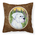 Carolines Treasures SS8198PW1414 Boxer Decorative Canvas Fabric Pillow, Large, Multicolor