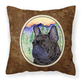 Carolines Treasures SS8257PW1414 French Bulldog Decorative Canvas Fabric Pillow, Large, Multicolor
