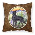 Carolines Treasures SS8263PW1414 Flat Coated Retriever Decorative Canvas Fabric Pillow, Large, Multicolor