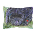 Carolines Treasures SS8272PW1216 Newfoundland Decorative Canvas Fabric Pillow, Large, Multicolor