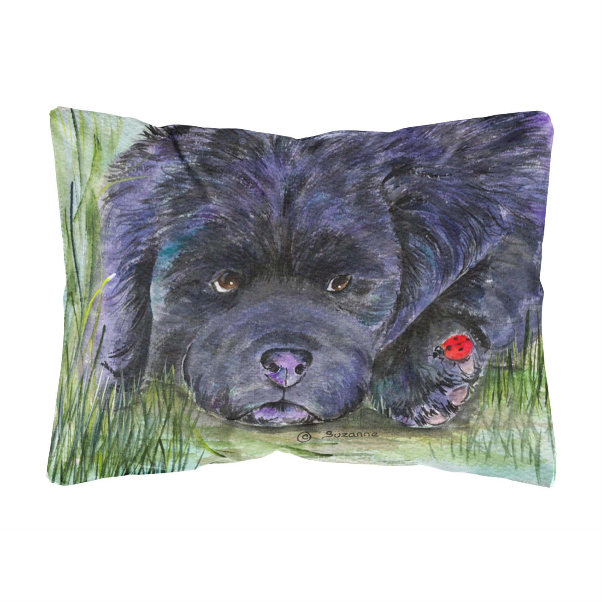 Carolines Treasures SS8272PW1216 Newfoundland Decorative Canvas Fabric Pillow, Large, Multicolor