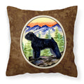 Carolines Treasures SS8286PW1414 Bouvier des Flandres Decorative Canvas Fabric Pillow, Large, Multicolor
