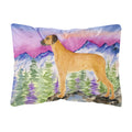 Carolines Treasures SS8327PW1216 Rhodesian Ridgeback Decorative Canvas Fabric Pillow, Large, Multicolor