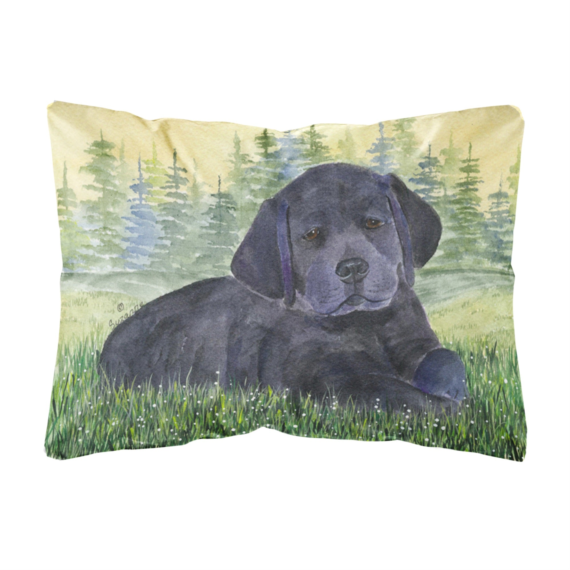 Carolines Treasures SS8343PW1216 Labrador Decorative Canvas Fabric Pillow, Large, Multicolor