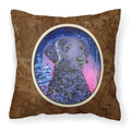 Carolines Treasures SS8354PW1414 Starry Night Curly Coated Retriever Fabric Pillow, Large, Multicolor