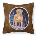 Carolines Treasures SS8355PW1414 Starry Night Chesapeake Bay Retriever Fabric Pillow, Large, Multicolor