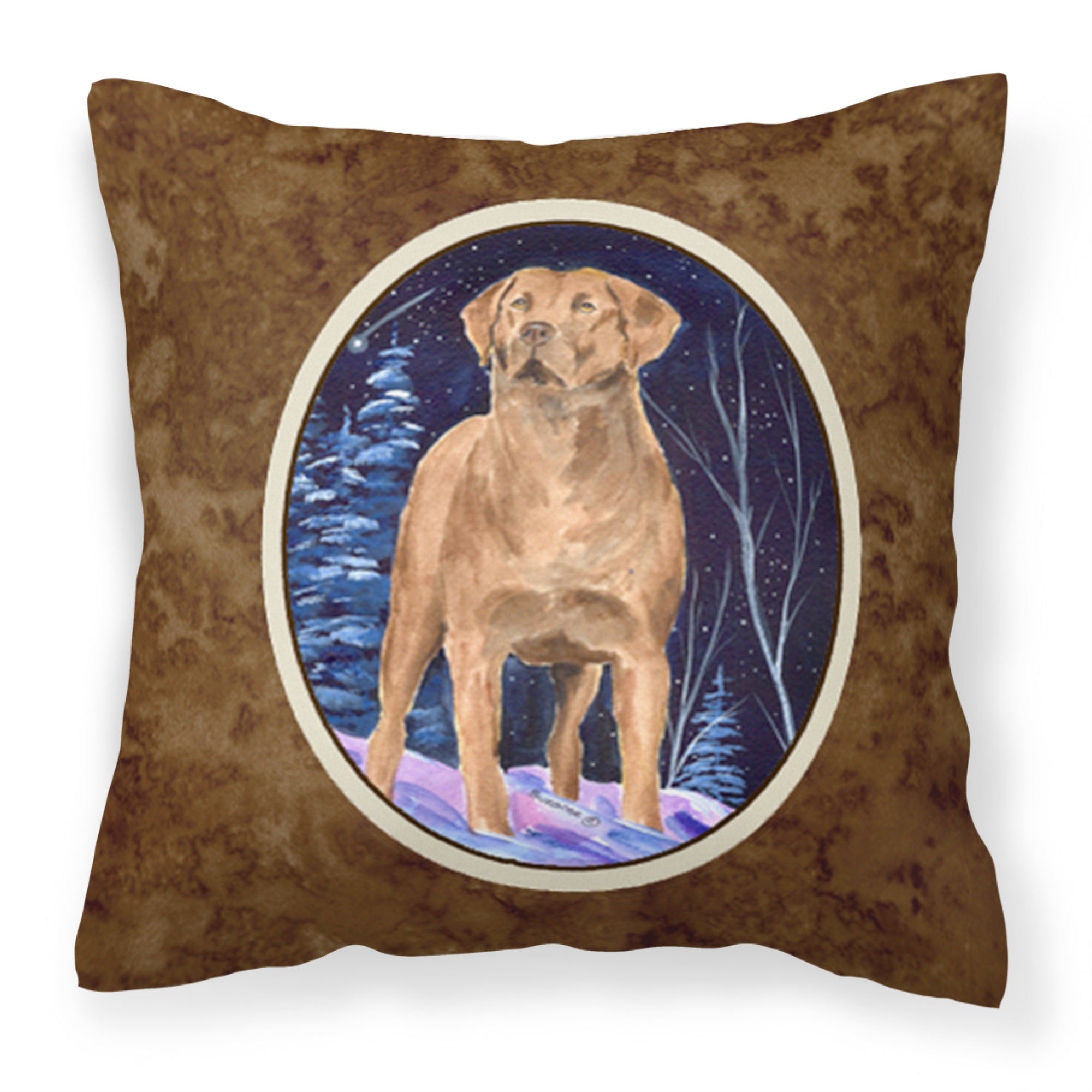 Carolines Treasures SS8355PW1414 Starry Night Chesapeake Bay Retriever Fabric Pillow, Large, Multicolor