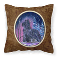 Carolines Treasures SS8366PW1414 Starry Night Briard Decorative Canvas Fabric Pillow, Large, Multicolor