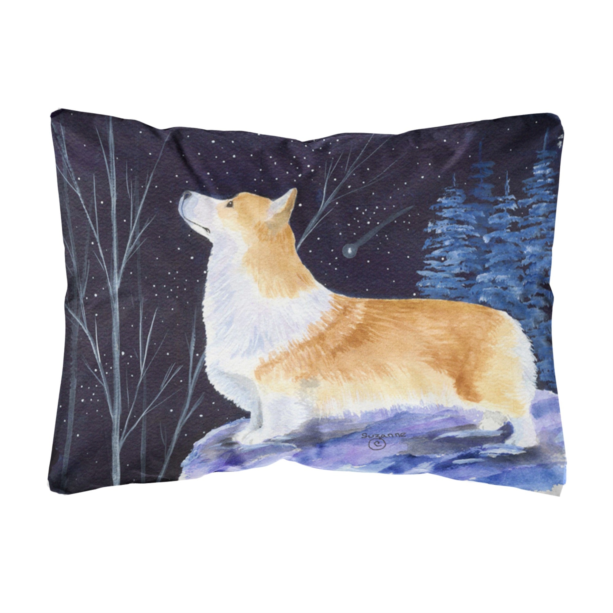 Carolines Treasures SS8373PW1216 Starry Night Corgi Decorative Canvas Fabric Pillow, Large, Multicolor