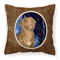 Carolines Treasures SS8384PW1414 Starry Night Chesapeake Bay Retriever Fabric Pillow, Large, Multicolor