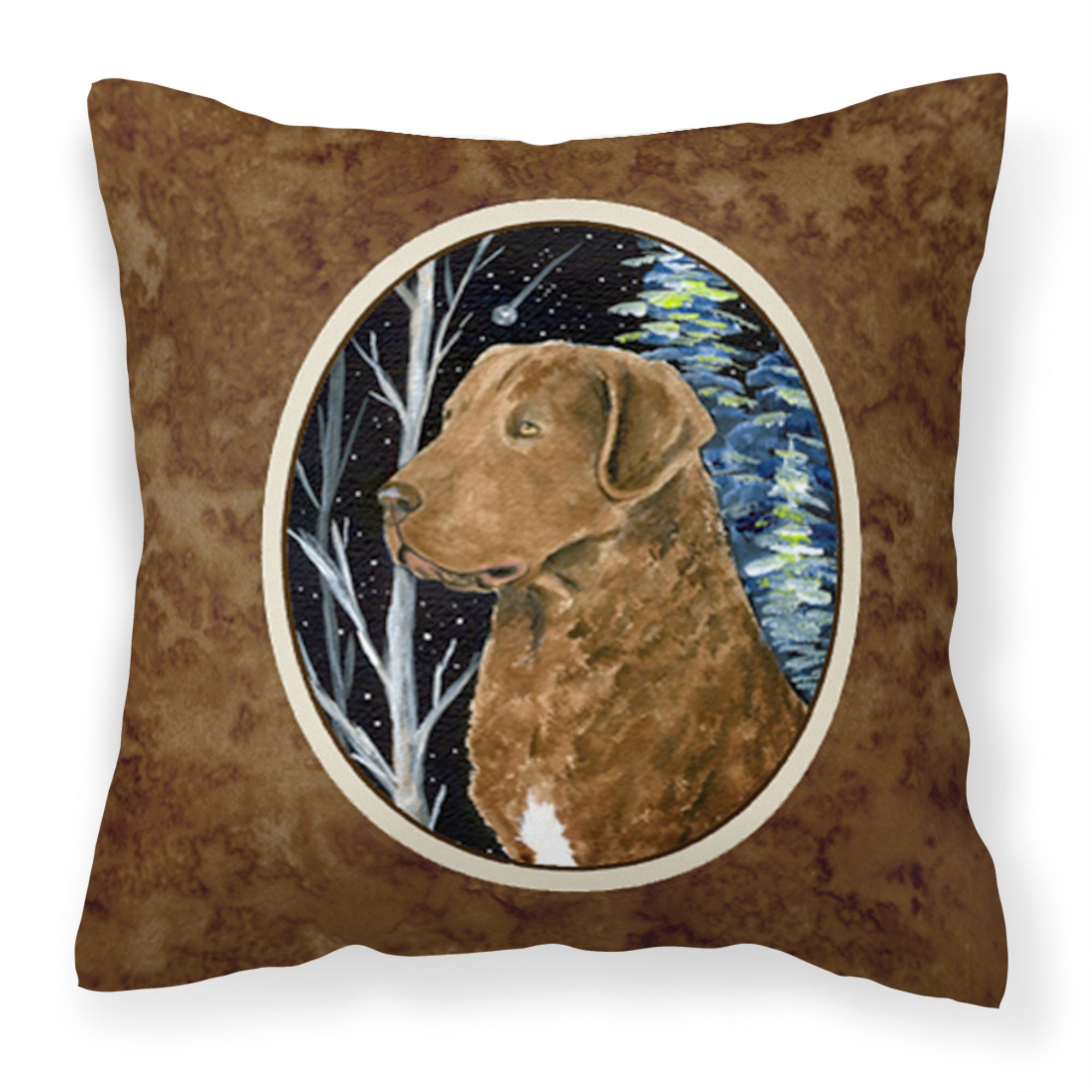 Carolines Treasures SS8411PW1414 Starry Night Chesapeake Bay Retriever Fabric Pillow, Large, Multicolor