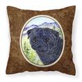 Carolines Treasures SS8420PW1414 Pug Decorative Canvas Fabric Pillow, Large, Multicolor