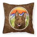 Carolines Treasures SS8422PW1414 Australian Kelpie Decorative Canvas Fabric Pillow, Large, Multicolor