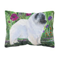 Carolines Treasures SS8424PW1216 Keeshond Decorative Canvas Fabric Pillow, Large, Multicolor