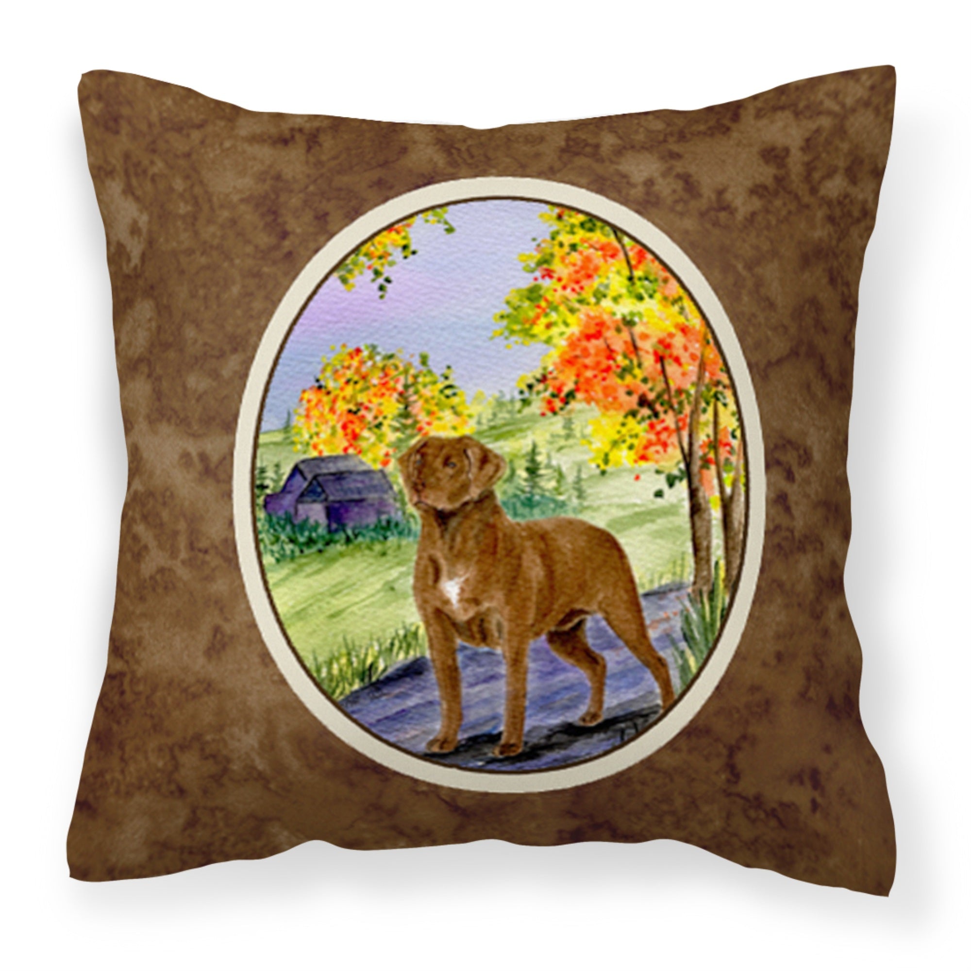Carolines Treasures SS8427PW1414 Chesapeake Bay Retriever Decorative Canvas Fabric Pillow, Large, Multicolor