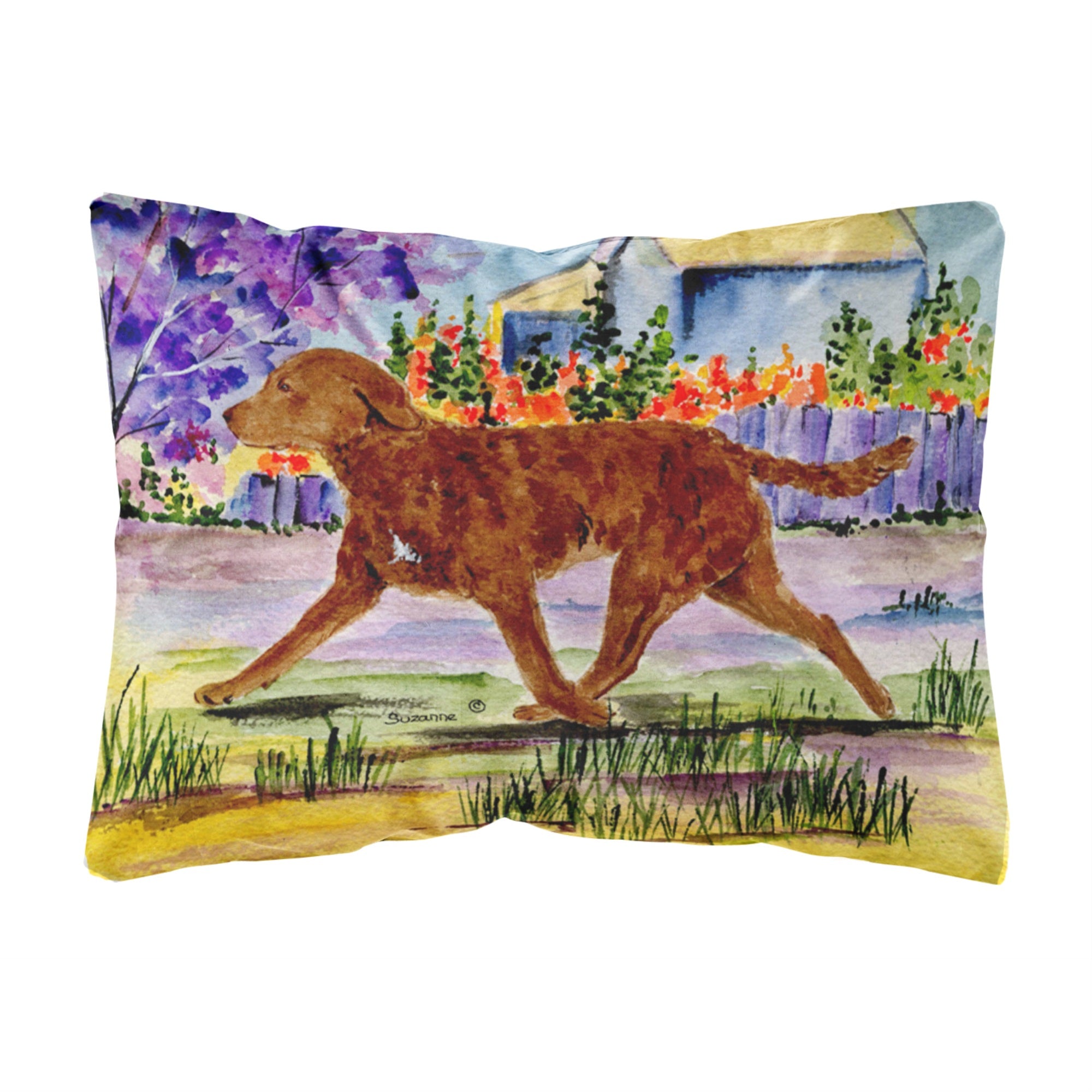 Carolines Treasures SS8435PW1216 Chesapeake Bay Retriever Decorative Canvas Fabric Pillow, Large, Multicolor