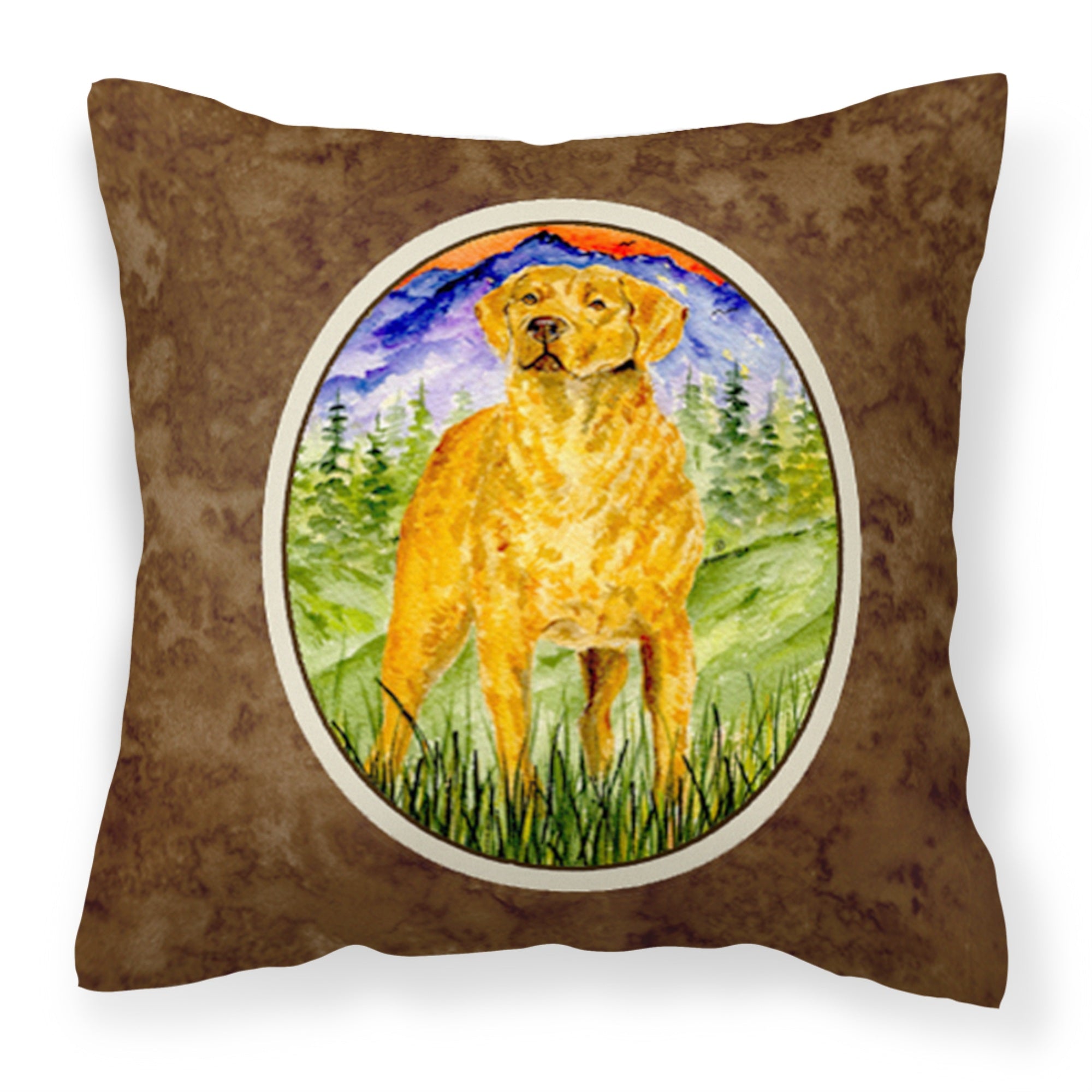 Carolines Treasures SS8449PW1414 Chesapeake Bay Retriever Decorative Canvas Fabric Pillow, Large, Multicolor