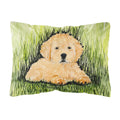 Carolines Treasures SS8476PW1216 Golden Retriever Decorative Canvas Fabric Pillow, Large, Multicolor