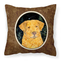 Carolines Treasures SS8487PW1414 Starry Night Chesapeake Bay Retriever Fabric Pillow, Large, Multicolor