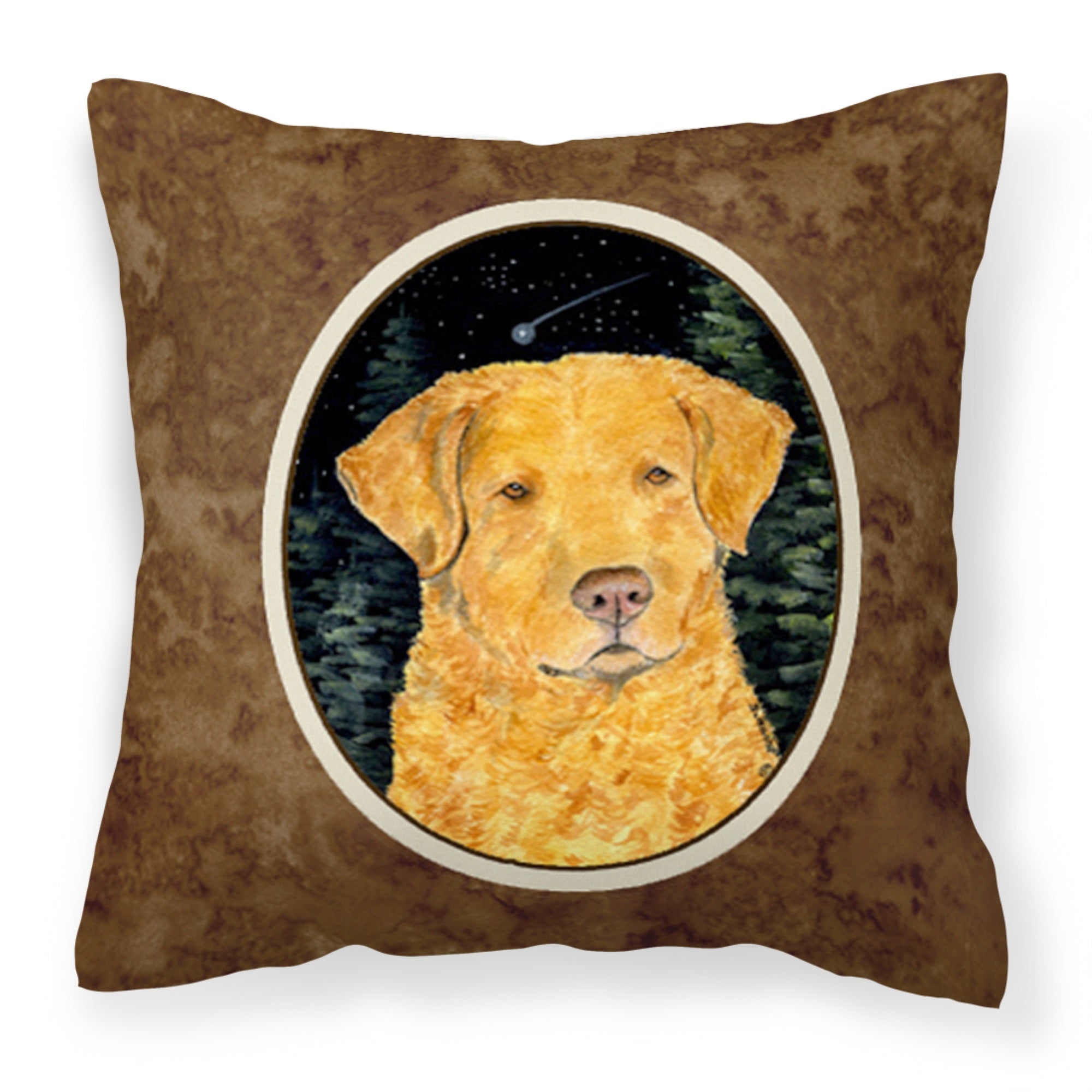 Carolines Treasures SS8487PW1414 Starry Night Chesapeake Bay Retriever Fabric Pillow, Large, Multicolor